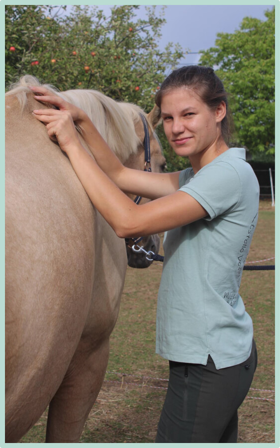 Estelle Devilers, masseur équin et canin disponible pour le bien-être de votre animal en Belgique