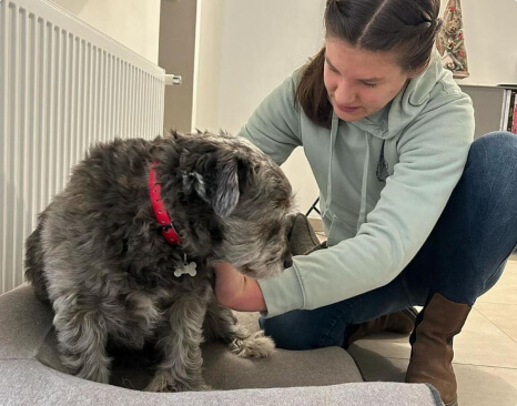 Estelle Devilers, masseur canin professionnel à Jurbise en Belgique se déplace pour offrir un moment bien-être à votre chien